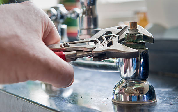 Best Water damage restoration experts  in Green Knoll, NJ