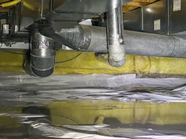 Best Flood damage cleanup  in Green Knoll, NJ