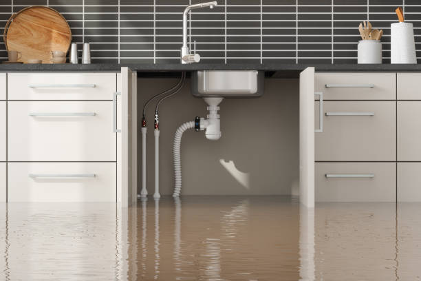 Best Commercial water damage restoration  in Green Knoll, NJ